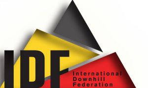 IDFBannerLogoformap